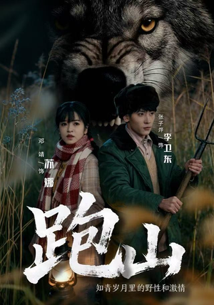 跑山：知青岁月里的野性和激情（83集）短剧全系列免费畅享