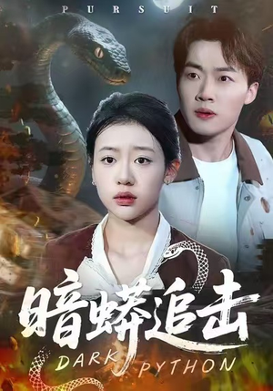 暗蟒追击（35集）海量短剧免费看