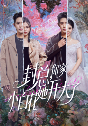 封总,你家小白花她开大了(60集) 封总,你家小白花她开大了(60集)好看短剧看不停