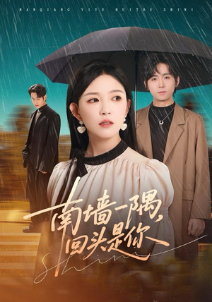 南墙一隅，回头是你（61集）火爆热门短剧抢先看