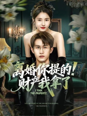 离婚你提的！财产我拿了（63集）好看的短剧分享给大家