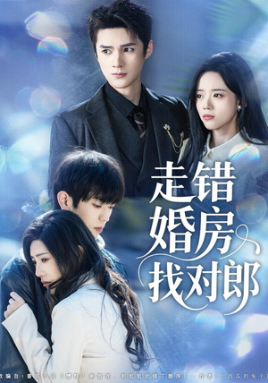 走错婚房找对郎（50集） 看完还想看的精彩短剧