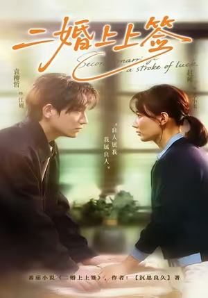 二婚上上签（71集）全集短剧免费观看