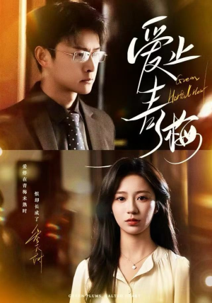 爱止青梅（60集） 再也不用花钱看短剧了推荐