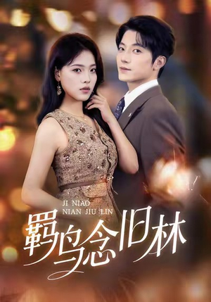 羁鸟念旧林（60集）短剧在哪个平台看好