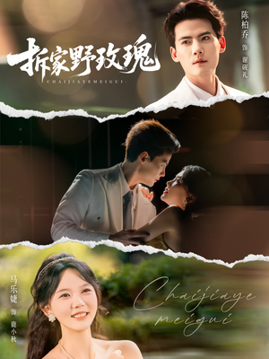 拆家野玫瑰（80集）免费看全网影视短剧动漫