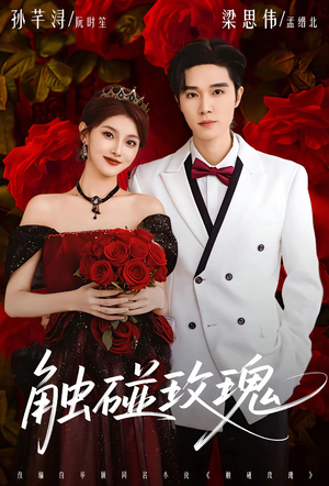 触碰玫瑰（80集）短剧精选全集无广告