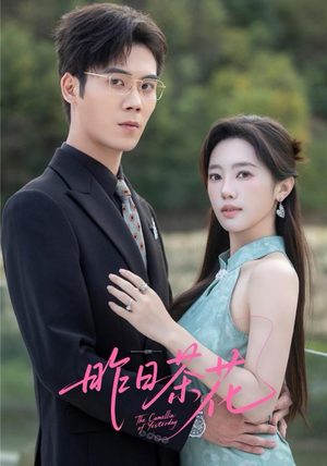 昨日茶花（56集）短剧小说在线看