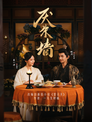 厌朱墙（80集）热门古装短剧推荐