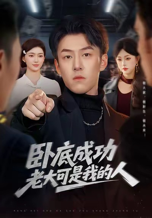 卧底成功老大可是我的人（99集）免费观看全集短剧无删减