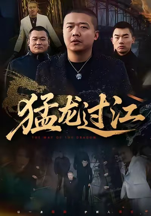 猛龙过江（60集）在线看短剧全集免费看