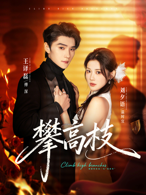 攀高枝（70集）短剧终篇全集限免看