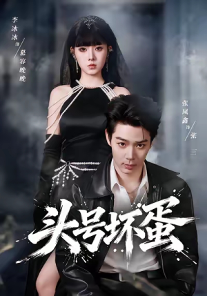 头号坏蛋（58集）推荐热门短剧全集