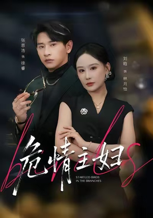 危情主妇（60集）免费看短剧全集