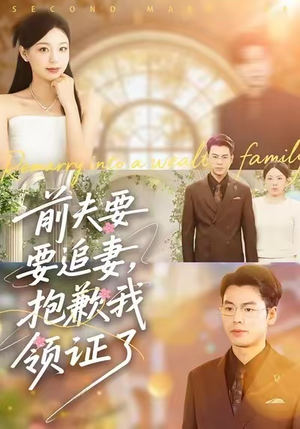 前夫要追妻，抱歉我领证了（81集）热播短剧全集看