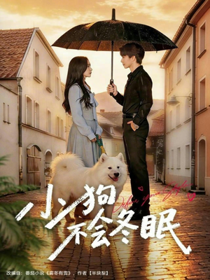 小狗不会冬眠（70集）火爆短剧推荐抢先看全集