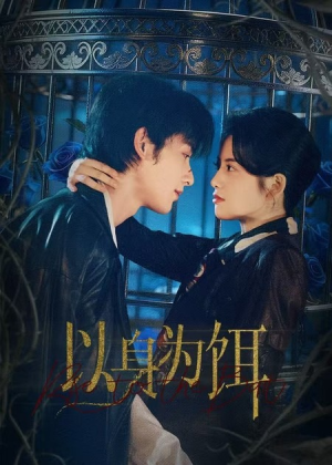 以身为饵(61集) 以身为饵(61集)短剧全剧终高清放送