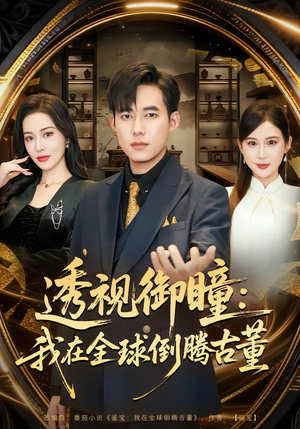 透视御瞳：我在全球倒腾古董（80集）全集短剧免费上线观看