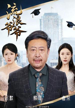 流浪爷爷（40集）看过的人都说好