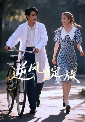 逆风绽放（55集）短剧流畅播放免费看