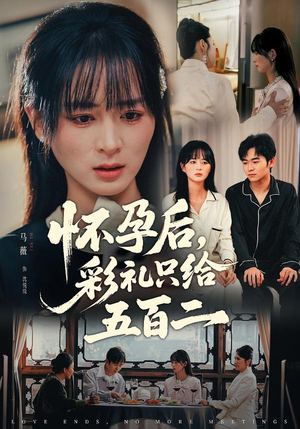 怀孕后，彩礼只给五百二（40集）全集免费看热门短剧推荐
