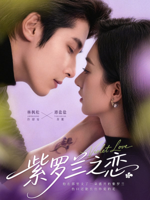 紫罗兰之恋（82集）好看剧情短剧推荐分享