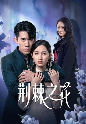 荆棘之花（100集）新番短剧计划好剧分享