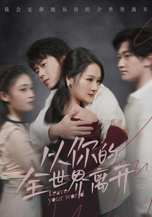 从你的全世界离开（71集）热播短剧免费看