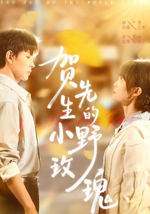 贺先生的小野玫瑰(99集) 贺先生的小野玫瑰(99集)热门短剧又来了