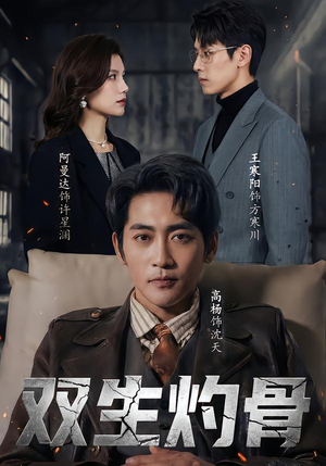 双生灼骨（60集）短剧上头一起来追