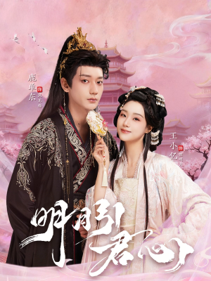 明月引君心（74集）短剧简直不要太好看