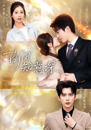 南风知意深（40集）在线免费看全集短剧