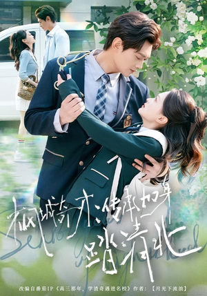 枫城奇才：传承加身踏清北（80集） 短剧也太好看了