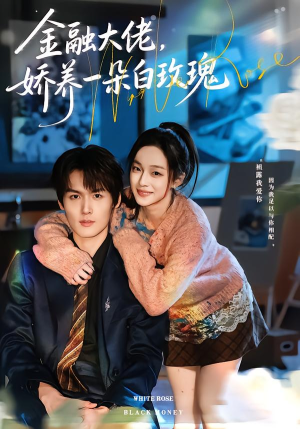 金融大佬，娇养一朵白玫瑰（70集）每晚准时更新短剧分享