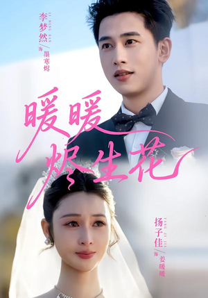 暖暖烬生花（65集）热门短剧推荐持续中