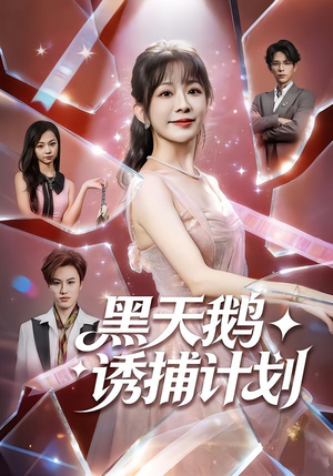 黑天鹅诱捕计划（81集）最新短剧正在热播