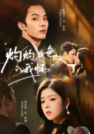 灼灼夜色入我怀（60集）好看的短剧又来了精彩片段