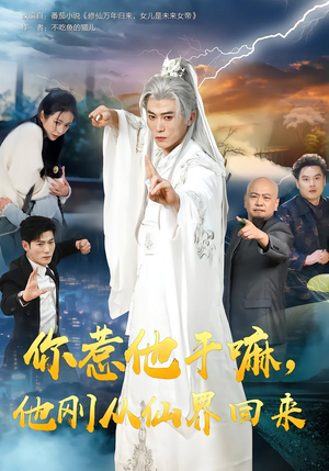 你惹他干嘛，他刚从仙界回来（80集）短剧在哪个平台