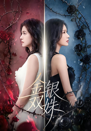 金银双姝（80集）亿人都在追的精彩短剧