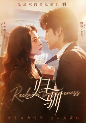 归驯（82集）热门短剧全集观看