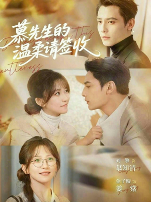 慕先生的温柔请签收（90集）短剧追到爽全集完整版