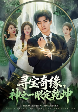 寻宝奇缘，神之一眼定乾坤（80集）百度网盘在线看短剧