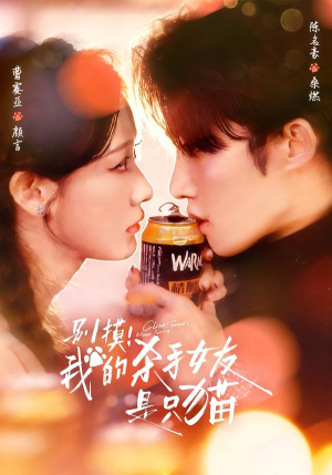 别摸！我的杀手女友是只猫（60集）我的短剧太好看了吧