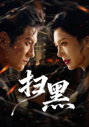 扫黑（70集）热门短剧推荐分享