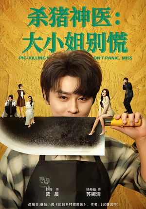杀猪神医，大小姐别慌（80集）精彩短剧天天看超级热播短剧