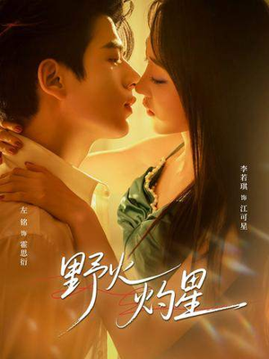 野火灼星（56集）一口气看到热门短剧大结局