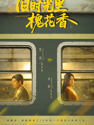 旧时光里槐花香（70集）推荐短剧一口气一定要看完