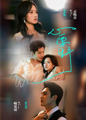 心要野(62集) 心要野(62集)红果短剧免费看荃集