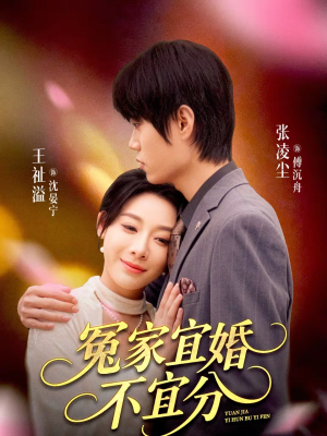 冤家宜婚不宜分（80集）每日更新热门短剧