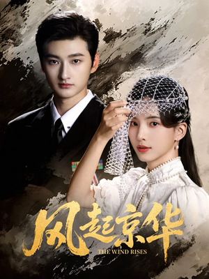 风起京华（60集）热播短剧推荐点击抢先看全集